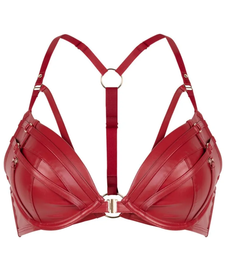 Faye Padded Underwired Push-Up Bra - Red